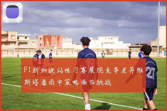 F1新加坡站练习赛展现竞争差异维斯塔潘雨中策略面临挑战